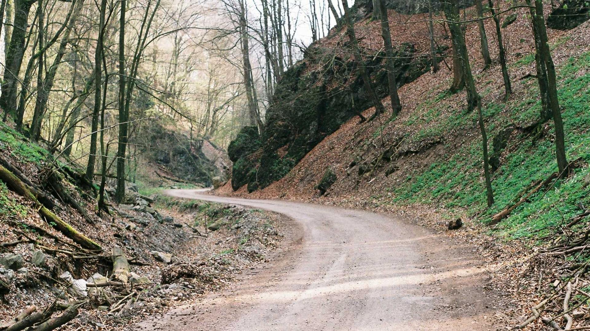 Cumque et deserunt et voluptatem. cover photo