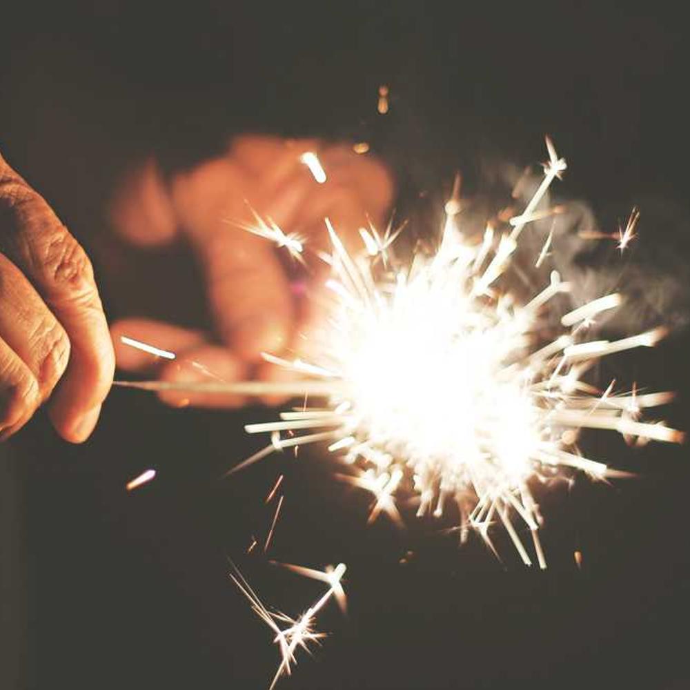 Lottatore 76102 dark red