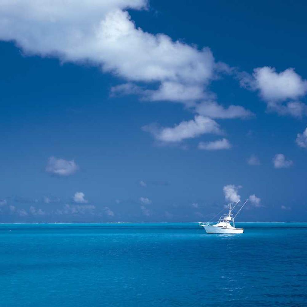 Exton c82 abrasivo nero