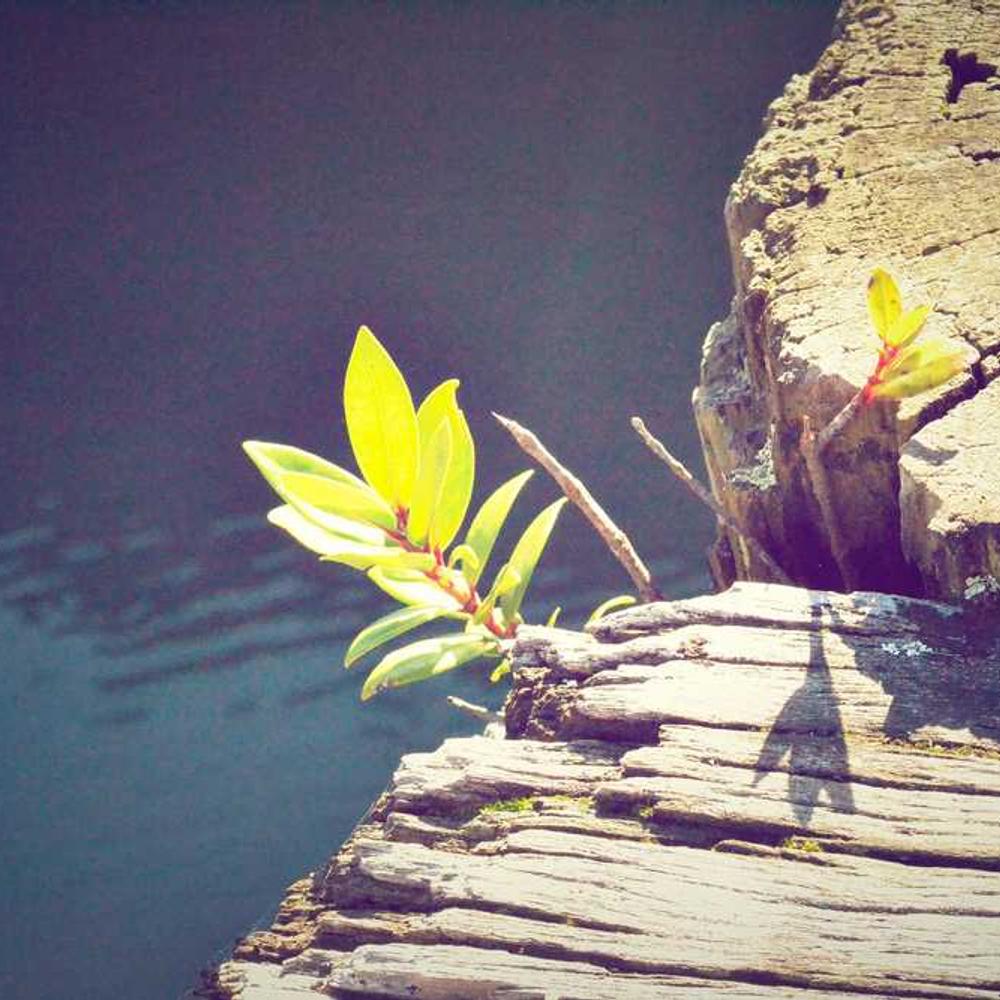 Exton c82 abrasivo nero